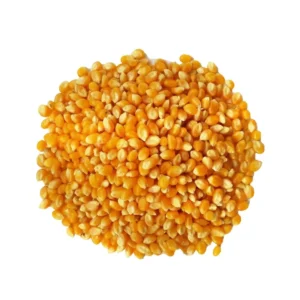 Milho de Pipoca 250g (Granel)