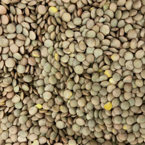 Lentilha Canadense 100g (Granel)