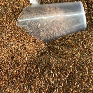 Linhaça Marrom Semente 100g (Granel)