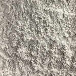 Ginseg Pó 100g (Granel)