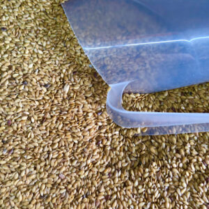 Linhaça Dourada Semente 100g (Granel)