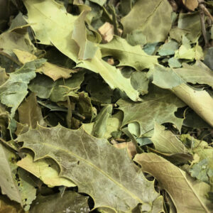 Espinheira Santa Maytenus Premium 100g (Granel)