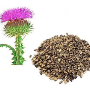 Cardo Mariano ( Silimarina) 20g