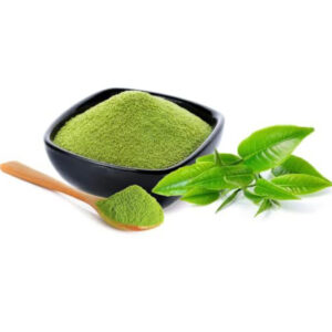 Ora Pro Nóbis Pó 100g (Granel)