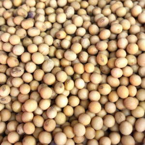 Soja Grãos 250g (Granel)