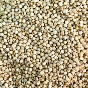 Quinoa Grão Branca 100g (Granel)