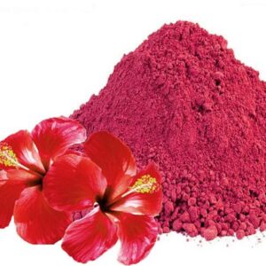 Hibisco Pó 100g (Granel)