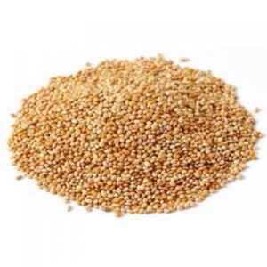 Painco 500g (Granel)